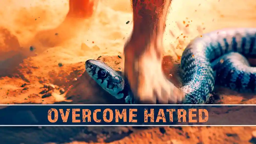 Overcome Hatred